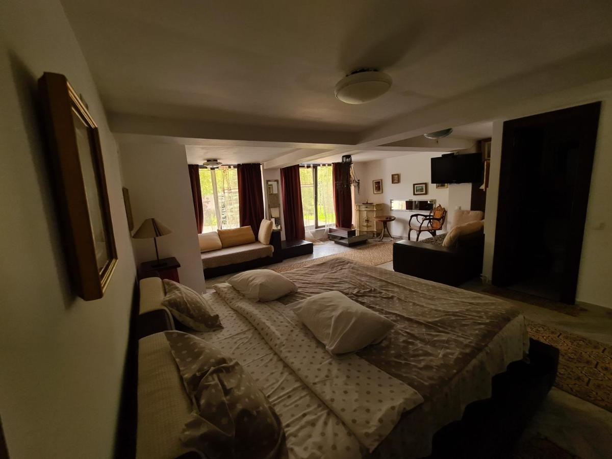 Casa Poveste Pensiunea-Muzeu Câmpulung Moldovenesc Exterior foto