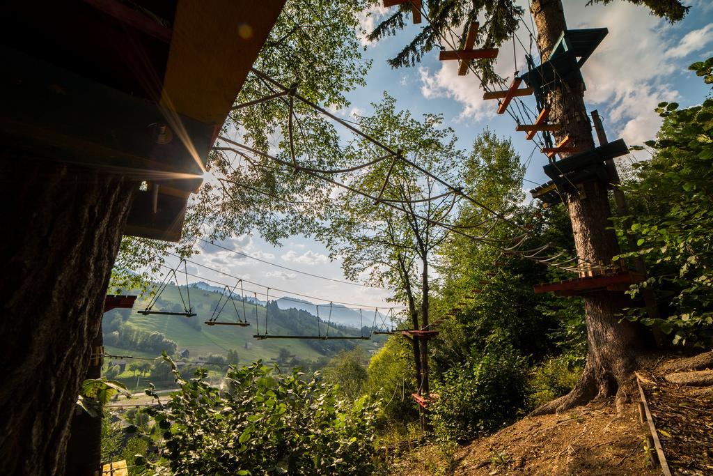 Casa Poveste Pensiunea-Muzeu Câmpulung Moldovenesc Exterior foto